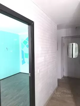 1-к кв. Санкт-Петербург Ленинский просп., 124 (29.0 м)