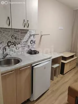 Квартира-студия: Барнаул, улица Эмилии Алексеевой, 55 (13 м)