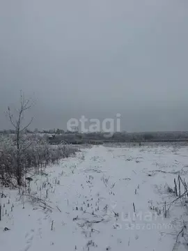 Участок в Воронежская область, Семилукский район, Девицкое с/пос, ...