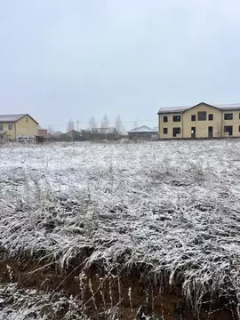 Участок в Омская область, Омский район, с. Дружино ул. Ореховая (10.0 ...