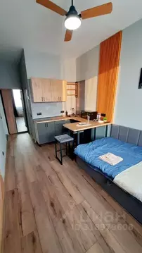 Студия Ленинградская область, Кудрово г. Всеволожский район, Заневское ...