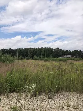 Участок в Московская область, Раменский муниципальный округ, Быково ...
