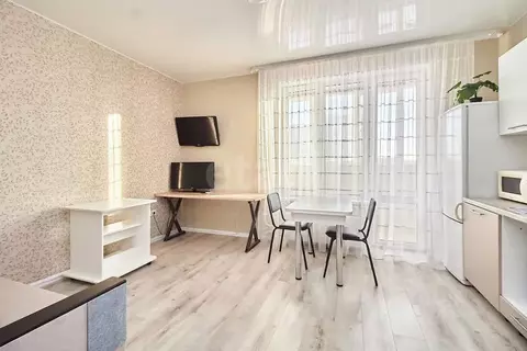 Студия Тюменская область, Тюмень ул. Фармана Салманова, 10 (25.0 м)