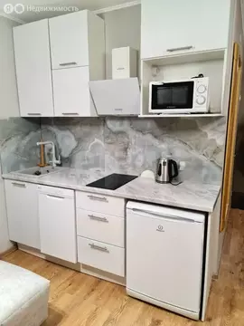 Квартира-студия: посёлок Парголово, Толубеевский проезд, 8к2 (26 м)