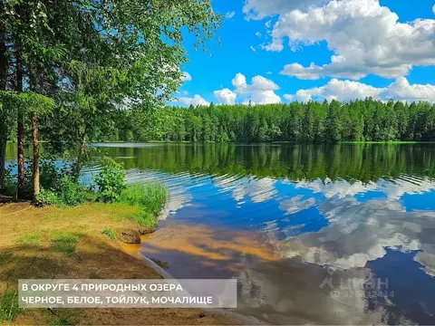 Участок в Ленинградская область, Тосненский район, Шапкинское с/пос, ...