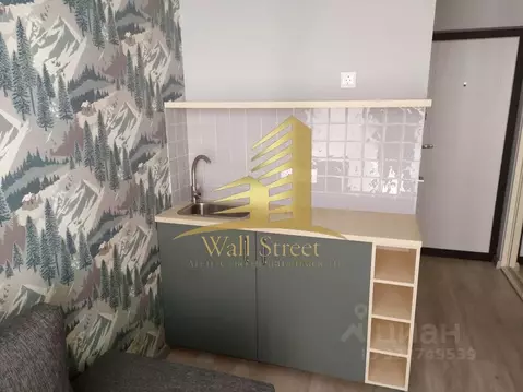 Студия Новосибирская область, Новосибирск Обская ул., 46/2 (17.0 м)