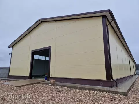 Производственное помещение в Московская область, Домодедово городской ...