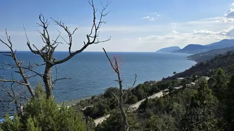 Участок в Крым, Алушта муниципальный округ, пос. Семидворье  (31.0 ...