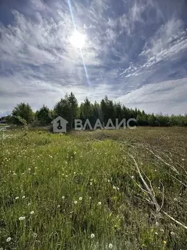 Участок в Марий Эл, Медведевский район, Русско-Кукморское с/пос, д. ...