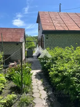 Дом в Алтайский край, Павловский район, Урожайное СНТ ул. 9-я (82 м)