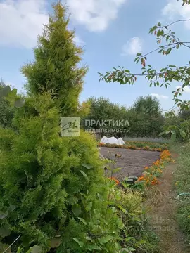 Участок в Липецкая область, Липецк Дачный-5 СНТ, ул. 47-я (6.0 сот.)