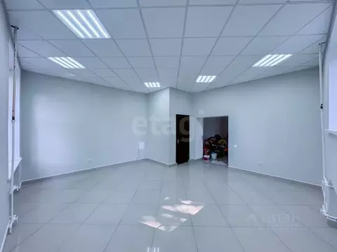 Офис в Мордовия, Саранск ул. Полежаева, 161 (59 м)