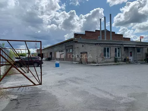 Помещение свободного назначения в Новосибирская область, Новосибирск ...