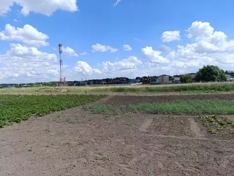 Участок в Воронежская область, Рамонский район, Новоживотинновское ...