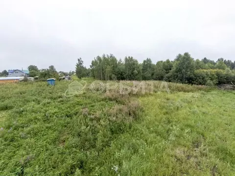 Участок в Тюменская область, Тюмень Березняки СНТ, ул. Васильковая ...