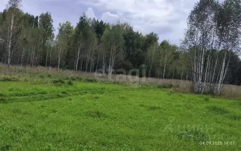 Участок в Новосибирская область, Новосибирский район, Каменский ...