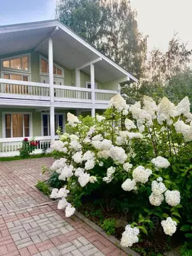 Дом в Санкт-Петербург пос. Парголово, Ивовая ул., 29 (241 м)