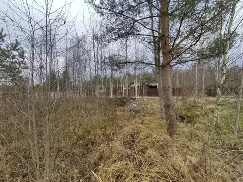 Участок в Ленинградская область, Кировское городское поселение, ...