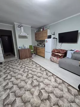 Студия Санкт-Петербург пос. Парголово, Заречная ул., 13к1 (26.0 м)