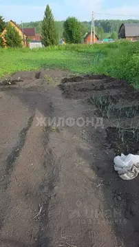 Участок в Новосибирская область, Мошковский район, Рябинка СНТ ул. ...