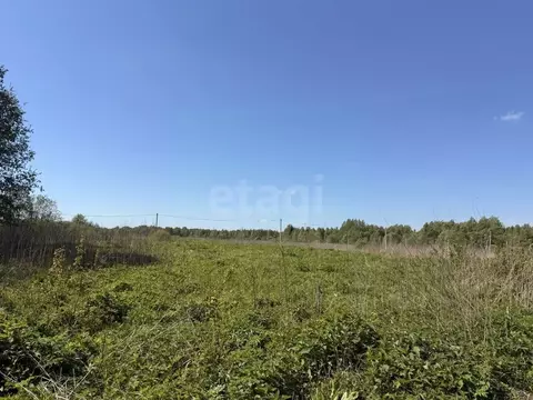 Участок в Смоленская область, Смоленский муниципальный округ, д. Рай ...