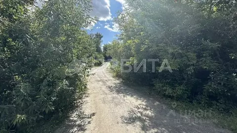 Участок в Тюменская область, Тюмень пос. Букино, ул. Сосновая (9.0 ...