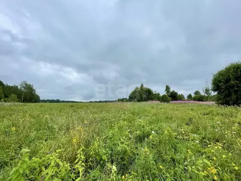 Участок в Смоленская область, Смоленский муниципальный округ, д. ...