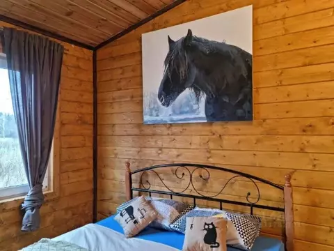 Дом в Ленинградская область, Выборгский район, Советское городское ...