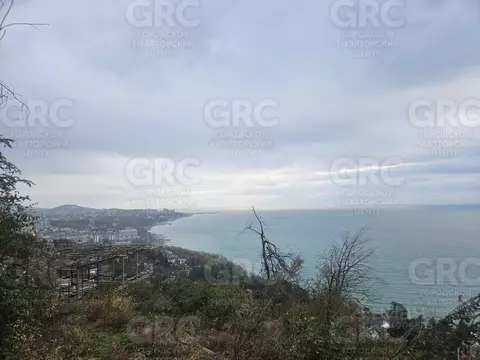 Участок в Краснодарский край, Сочи Ландыш садовое товарищество, 62 ...