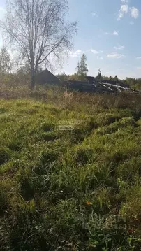 Участок в Вологодская область, Междуреченский муниципальный округ, ...