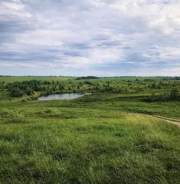Дом в Нижегородская область, Богородский муниципальный округ, с. ...