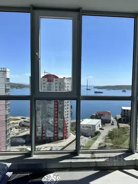 1-к кв. Приморский край, Владивосток ул. Крыгина, 94 (20.0 м)