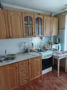 3-к кв. Омская область, Омск ул. 5-я Линия, 252 (58.0 м)