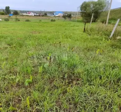 Участок в Новосибирская область, Новосибирский район, Морской ...