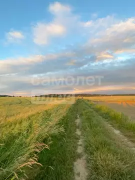 Участок в Крым, Сакский район, с. Суворовское ш. Красноярское (7.5 ...