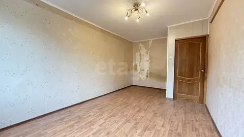 1-к кв. Ленинградская область, Сертолово Всеволожский район, Черная ...