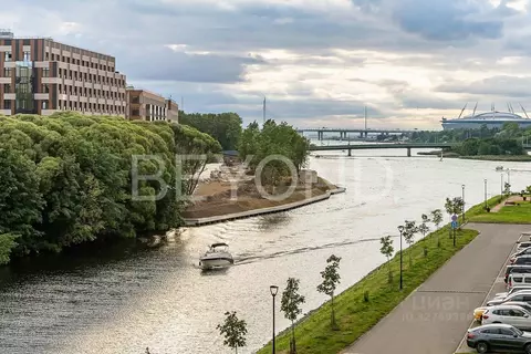 3-к кв. Санкт-Петербург Петровский просп., 9к2 (173.0 м)