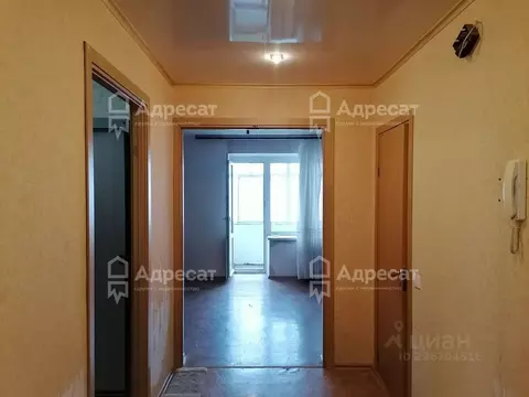 2-к кв. Волгоградская область, Волгоград Рабочий поселок Южный тер., 7 ...