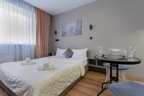 Студия Москва Ленинский просп., 158 (20.0 м)