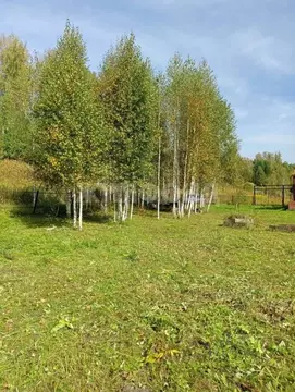 Участок в Новосибирская область, Новосибирский район, Барышевский ...