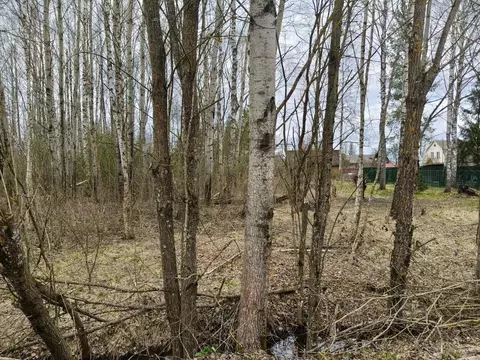 Участок в Московская область, Талдомский городской округ, д. Бурцево  ...