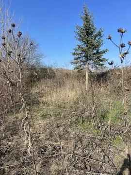 Участок в Ставропольский край, Предгорный муниципальный округ, пос. ...