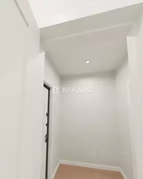 Студия Ленинградская область, Мурино Всеволожский район, Оборонная ...