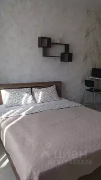 1-к кв. Иркутская область, Иркутск ул. Лермонтова, 31 (30.0 м)