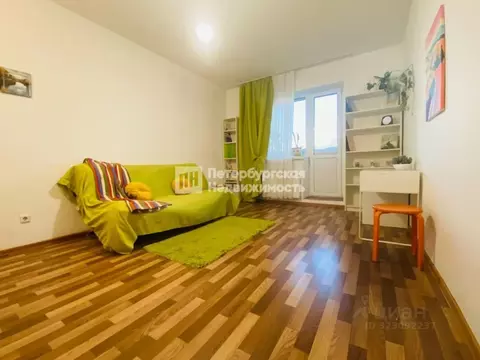 Студия Ленинградская область, Всеволожский район, д. Новое Девяткино ...