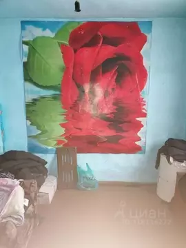 3-к кв. Хакасия, Боградский район, с. Троицкое ул. Сибирякова, 25 ...