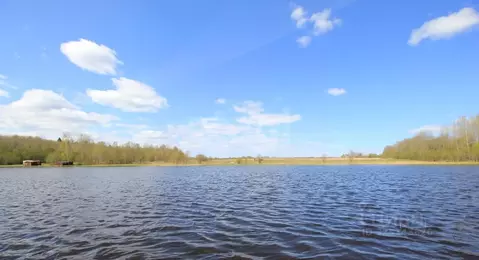 Участок в Вологодская область, Шекснинский муниципальный округ, д. ...