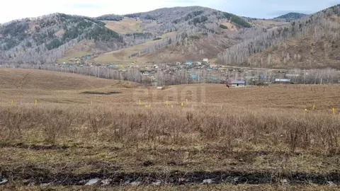 Участок в Алтай, Майминский район, с. Бирюля ул. Таркольская, 44 ...