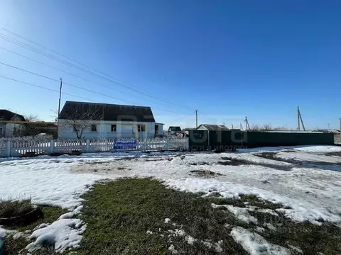 Участок в Воронежская область, Рамонский район, Горожанское с/пос, д. ...