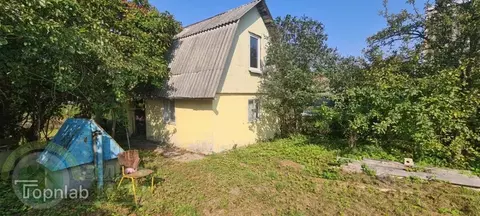 Участок в Калининградская область, Пионерский проезд Центральный (5.0 ...